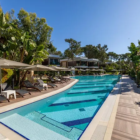 Nirvana Mediterranean Excellence